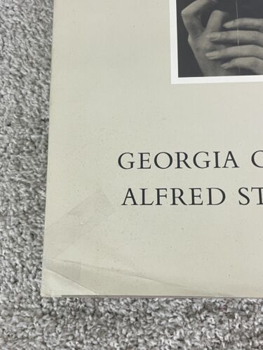Georgia O'Keeffe by A Portrait Alfred Stieglitz MMA/Abrams Photobook Harcover - Foto 4 di 11