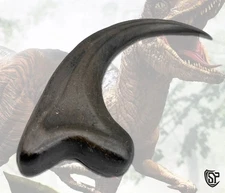 Velociraptor Claw - Jurassic Raptor Claw