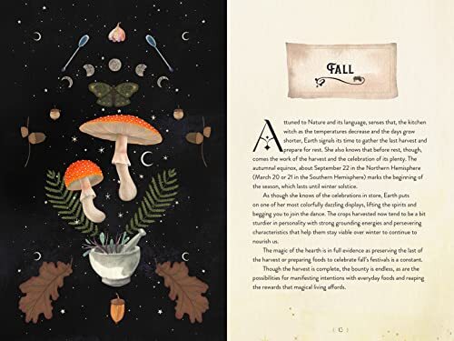 The Kitchen Witch Handbook Wisdom Recipes and Potions for Everyday Magic at H... - Picture 5 of 6