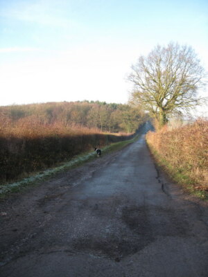 Foto 6x4 Bauernhof Spur vorbei Hirschpark Holzabfälle Grün Blick nach unten (Nordwest um 2007
