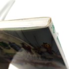 Foto 6 di 10