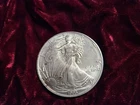 1995 AMERICAN SILVER EAGLE 1oz FINE SILVER UNCIRCULATED, TONING