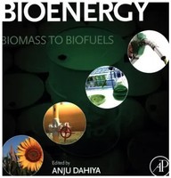 Anju Dahiya | Bioenergy | Buch | Englisch (2014) | Biomass To Biofuels