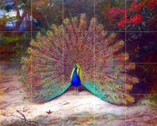 21.25 x 17 Art Peacock and Butterfly Ceramic Mural Backsplash Bath Tile 2109
