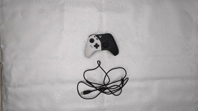 *READ* Thrustmaster Heart Controller, Hall Effect Gamepad With H.e.a.r.t.