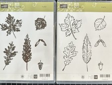 Stampin' Up Stamp Set - Gently Falling Fall