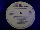 FAMILY S/T VINYL LP (REPRISE K 44069) 1969 *VINYL ONLY NO COVER* VGC