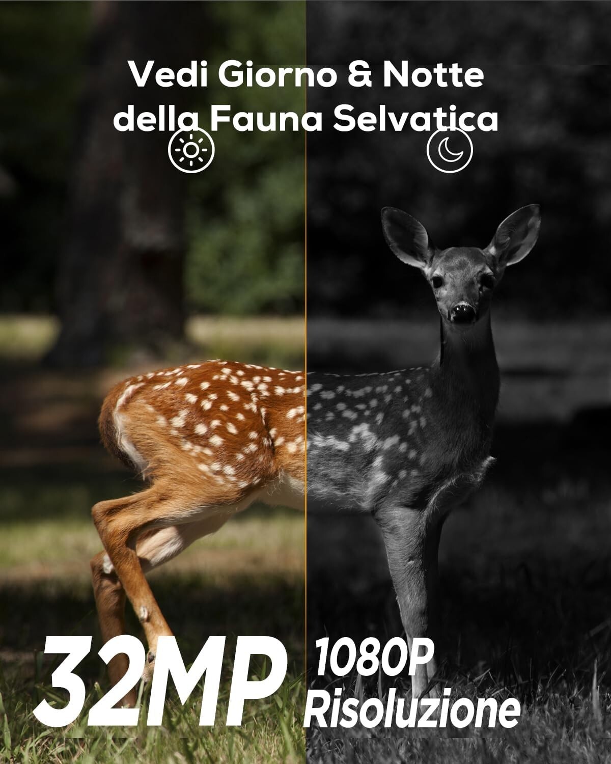 Fototrappola Solare 4K Doppia Lente - Visione Notturna Starlight, WiFi, Impermeabile IP66, Per Fauna Selvatica - Foto 12