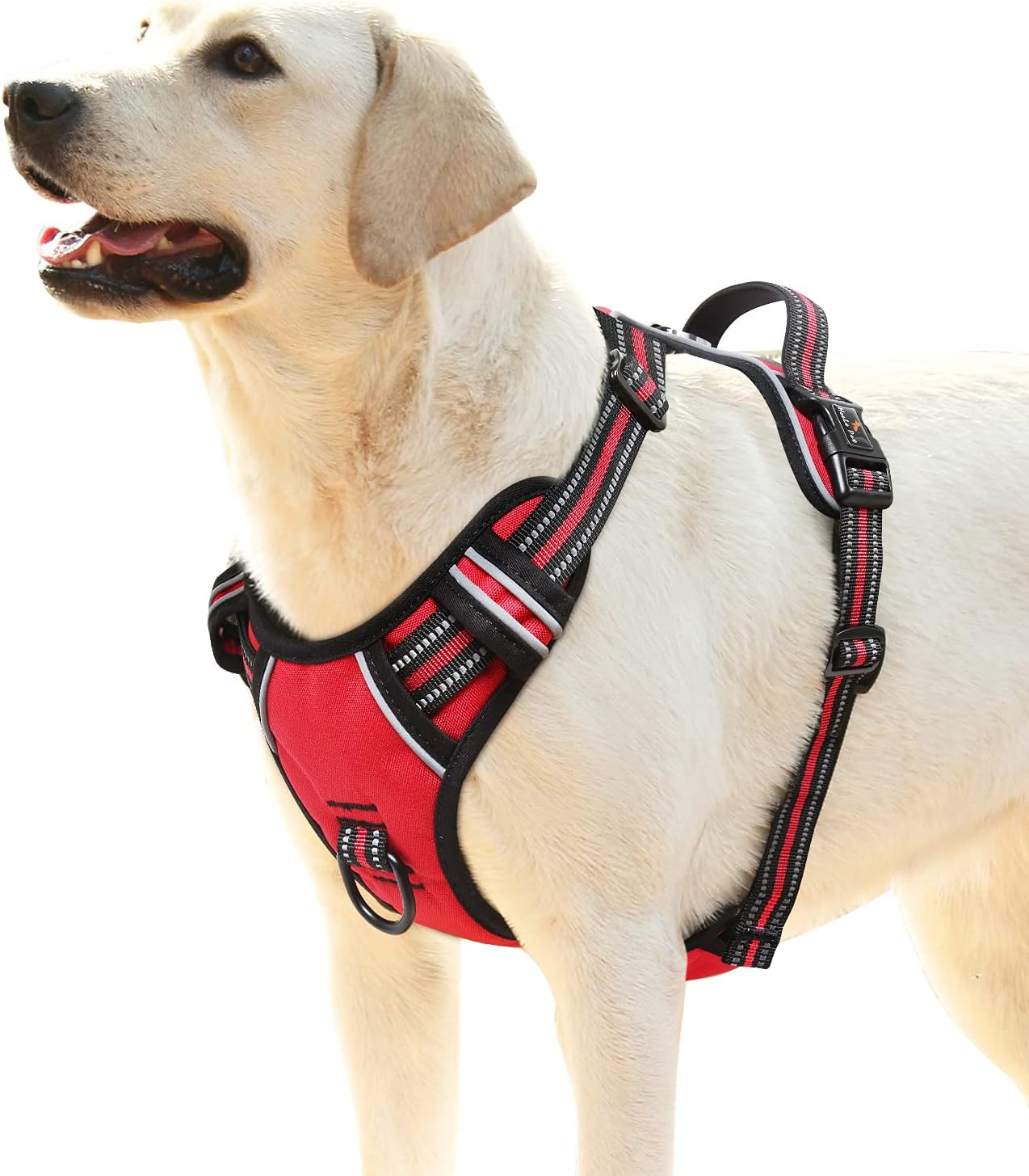 Imbracatura Cane Anti-Trazione - Pettorina Regolabile con Gancio Metallo
