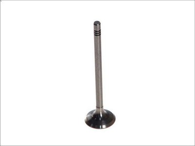 PARADOWSCY PVWG040-A-0-N Exhaust Valve for Audi A2 (8Z0) 1.4 2000-2005