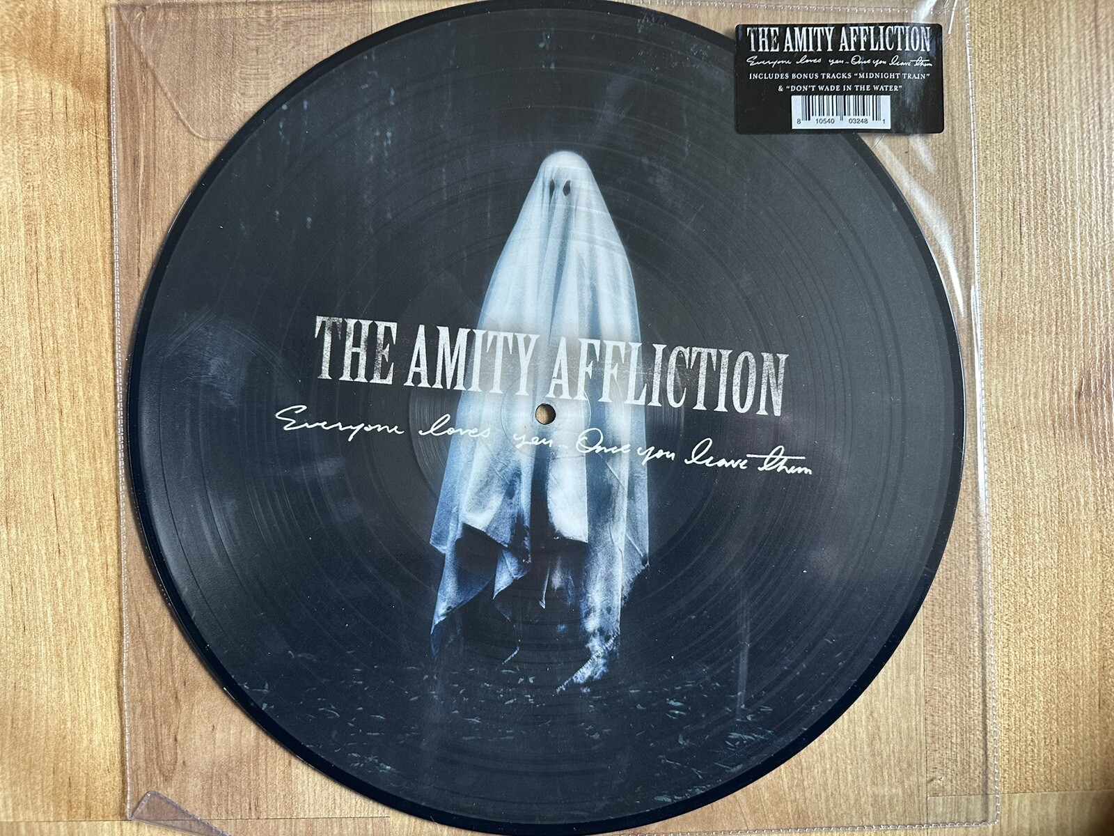 The Amity Affliction : Everyone Loves You... Once You Leave Them Picture Disc LP