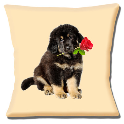 Cute German Shepherd Puppy Long Hair Red Rose Cream 16 Pillow