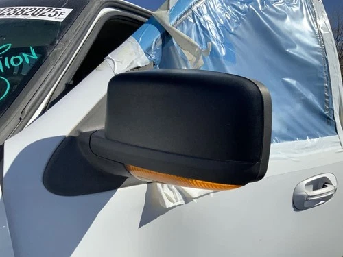 Driver Side View Mirror Power Approach Lamp Fits 03-06 EXPEDITION 1342722