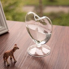 Heart Shaped Vase Glass Vase Bookshelf Tabletop Decorative Bottle Vase for