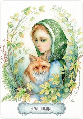 Oracle of Light & Dreams, "Inspiring Characters," Brand New, FREE Shipping