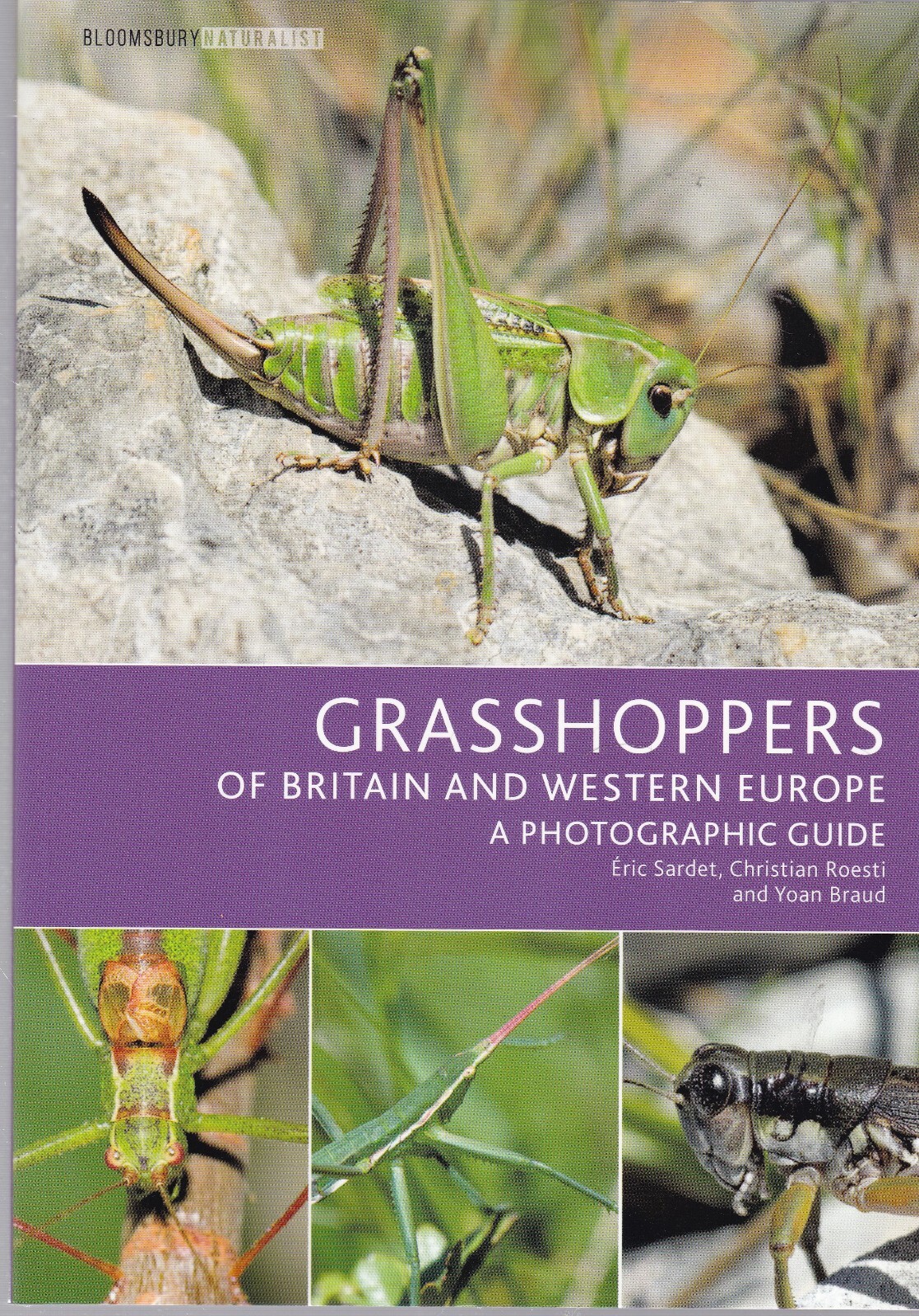Grasshoppers of Britain and Western Europe Photographic Guide Book and CD, New