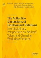 The Collective Dimensions Of Employment Relations Tindara Addabbo