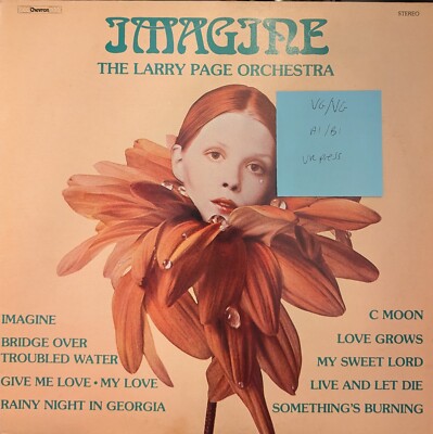 The Larry Page Orchestra Imagine Vinyl Schallplatte sehr guter Zustand/VG CHVL156 1979