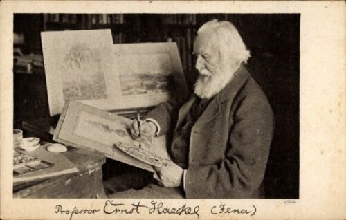 Ak Professor Ernst Haeckel, Mediziner, Zoologe, Zeichner - 10901836 - Bild 1 von 2
