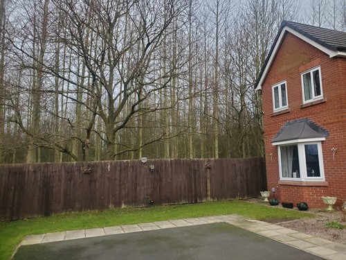 DETACHED 3 BED WITH LAND - Picture 2 of 23