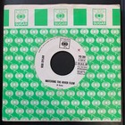 Bob Dylan - Watching The River Flow / Raiders-Indian Reservation ITALY PROMO EX