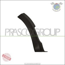 Baguette de porte Dacia SANDERO