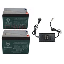 2x 12V 12Ah 6-DZF 6-DZM-12 Battery for 24V Electric Bike Razor Scooter Quad ATV