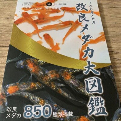 Japanese killifish Improved Medaka : 850 Species Collection 2023 Fish Book New
