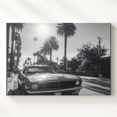 Black & White Muscle Car Canvas Vintage Americana With Palm Trees & Sunlight