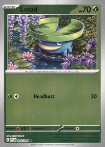 Lotad Pokemon Card | eBay Lotad Pokemon Card | eBay