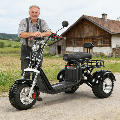 Elektrisches Dreirad mit 4000-W-Motor 45-55KM/H, deutsche COC-Straßenzulassung