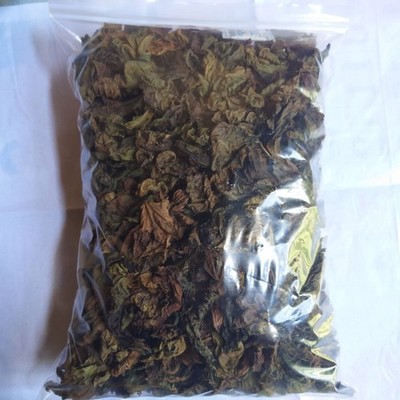 Premium Jatropha Curcas Leaves Dried ratanjot laljari Yatilung Jadi Raw Ceylon
