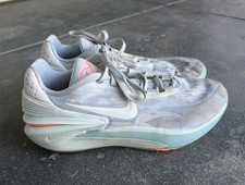 Nike Air Zoom GT Cut 2 Avant Garden for Sale - Authenticity
