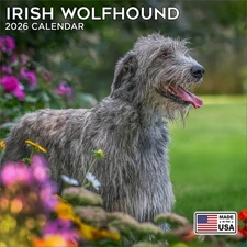 Irish Wolfhound Calendar 2026 - Dog Breed Wall Calendar - Made in the USA!