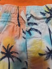 Boys Sz 2T Tropical Print Shirts And Matching Tank Outfit — photo 5