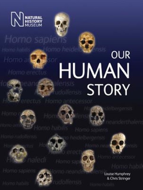 Our Human Story by Chris Stringer (Paperback Book)