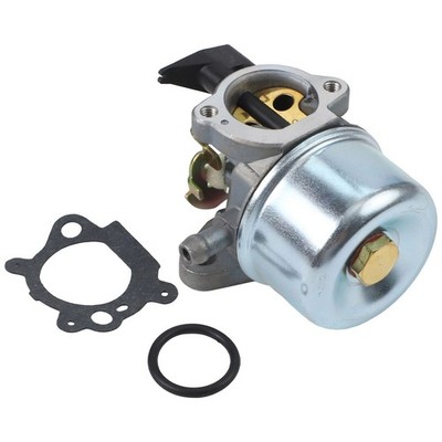 Vergaser für Quantum Motoren mit Choke Efficient Performance 498965