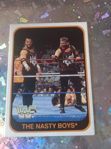 MERLIN WWF CARDS 1991 WRESTLING ITALIAN VERSION A SCELTA: UNDERTAKER MACHO MAN . - Foto 70 di 88