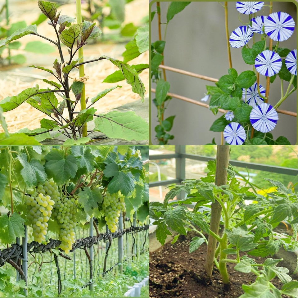 20 Pcs Bamboo Sticks for Plants, Garden Stakes for Indoor and Outdoor