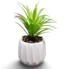 Artificial Succulent Plant Succulent Fake Faux Small Ceramic Home Decor
