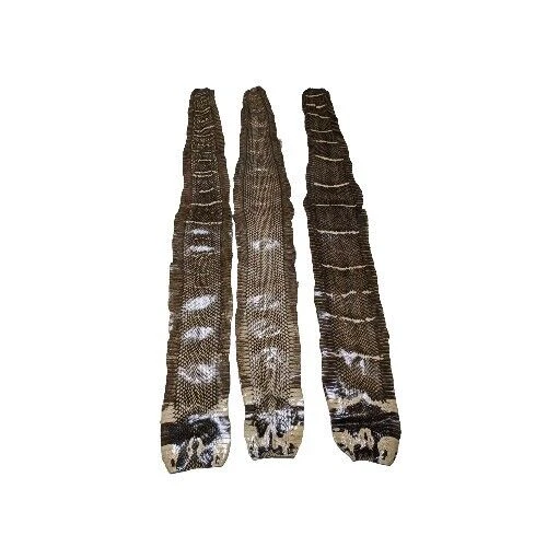 Asia Cobra Snake Skin w/ Hood Mark Snakeskin Hide Leather without Hole Dk Taupe  - Image 4 of 4
