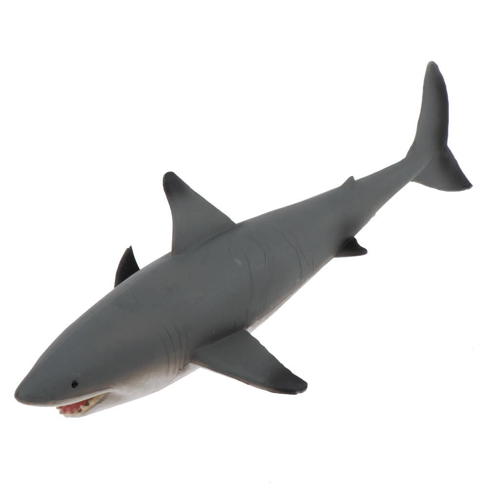 セール中　SHARK 豪華版　初回限定生産　5枚組　レア Amazon.co.jp: SHARK ~2nd Season~ Blu-ray BOX 豪華版(初回限定
