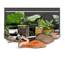 Swell Reptiles Corn Snake Juvenile Starter Kit