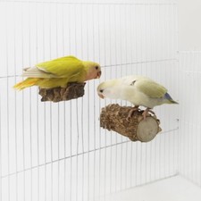Totoro, hamster, parrot cage playing, Sichuan pepper wood jumping platform