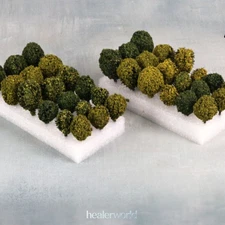12PC HO/OO Scale Miniatures Shrubs Trees Mix Color Garden Plants Scenery Model