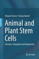Animal And Plant Stem Cells Mirjana Pavlovi¿