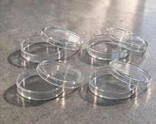 4 St&uuml;ck Petrischale 100 mm x 20 mm Glas