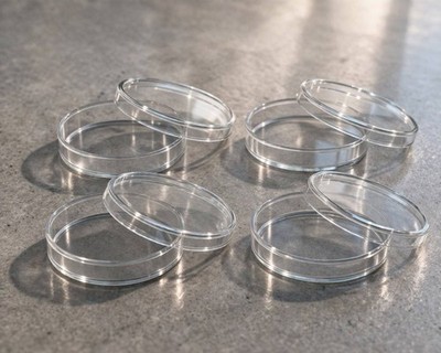 4 Stück Petrischale 100 mm x 20 mm Glas
