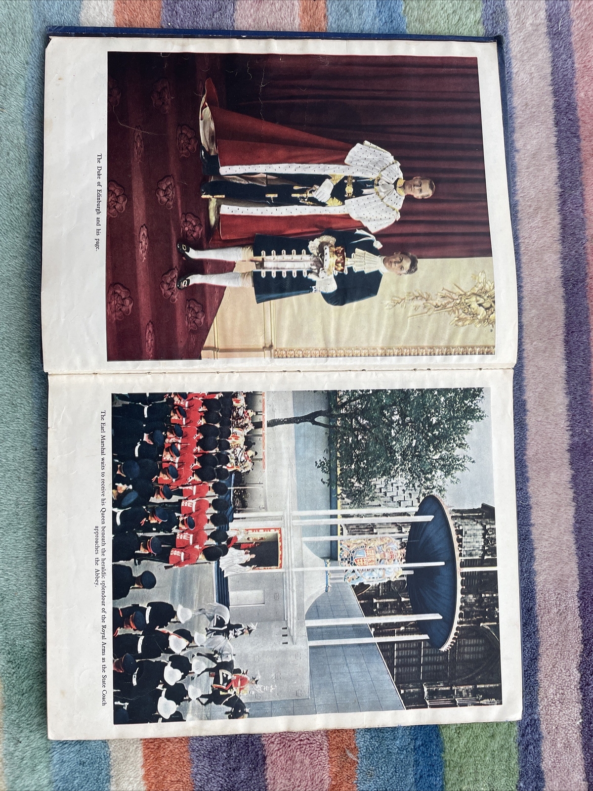 Picture 22 of 22