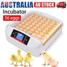 56 Eggs Digital Egg Incubator LED Fully Automatic Turning Chicken Duck Poultry